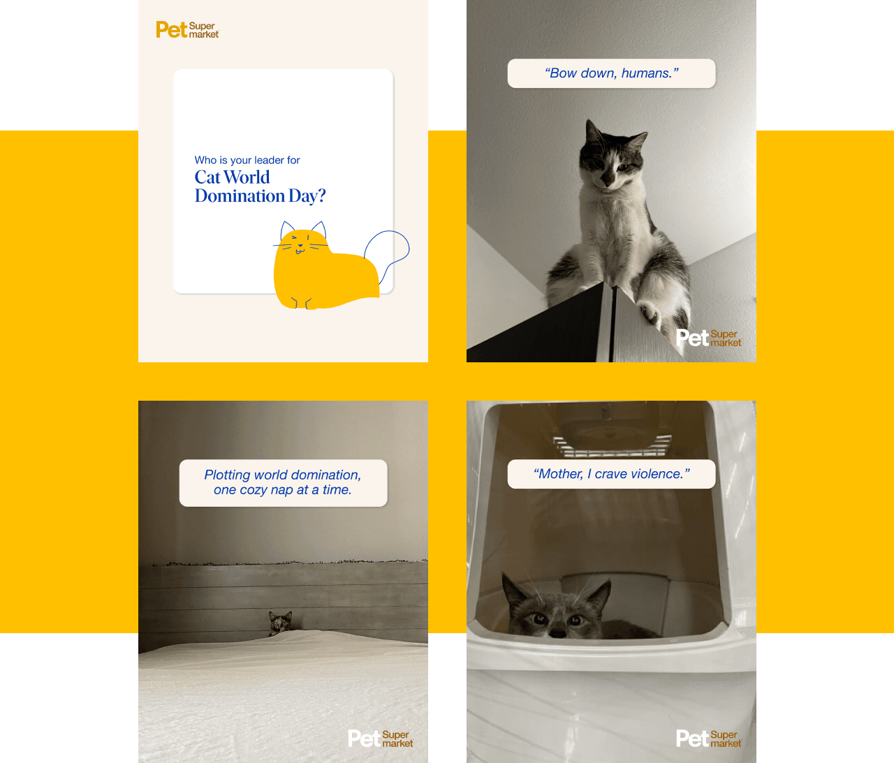 Pet Supermarket Work Sample