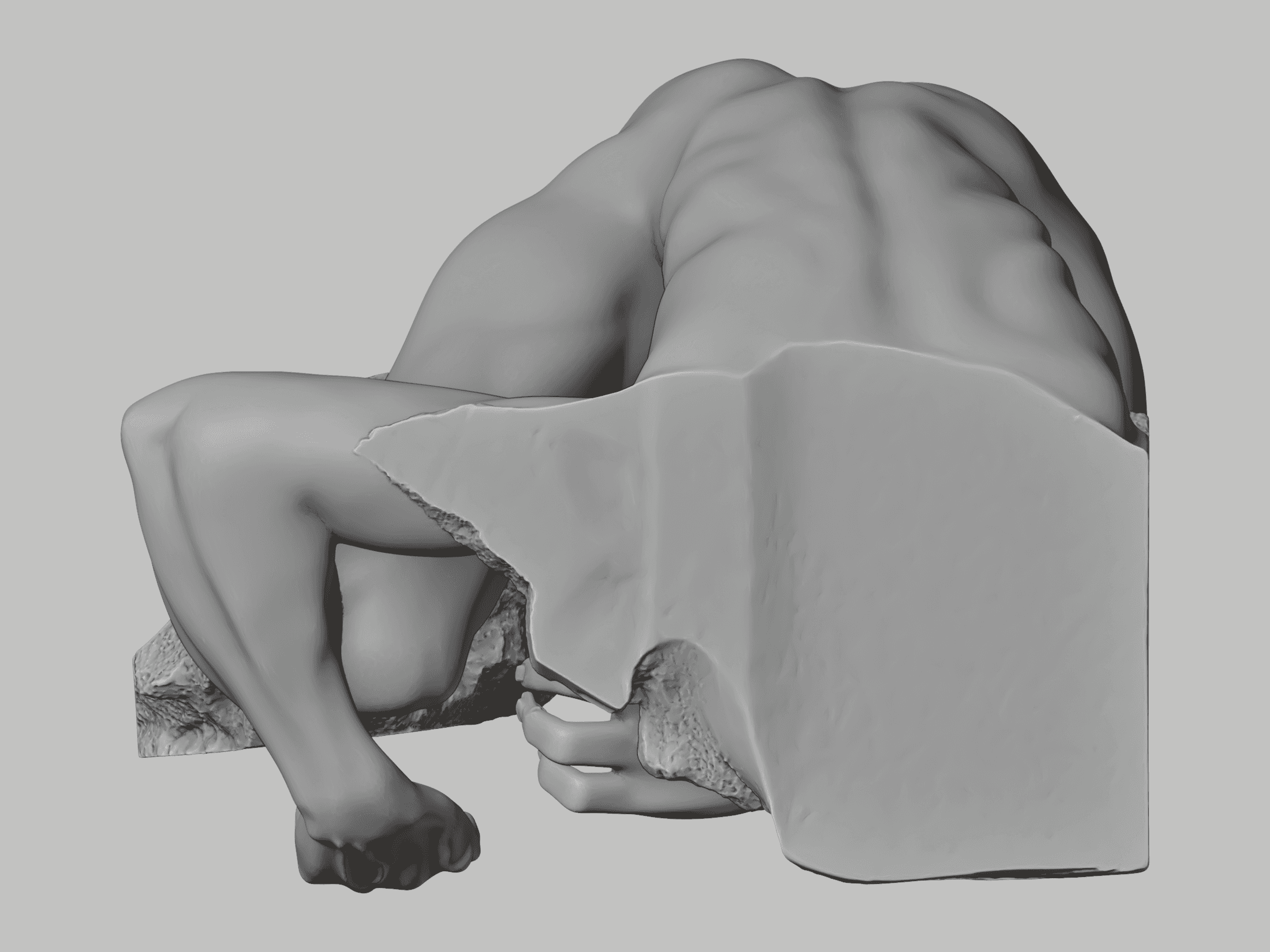 Plan view of the study model