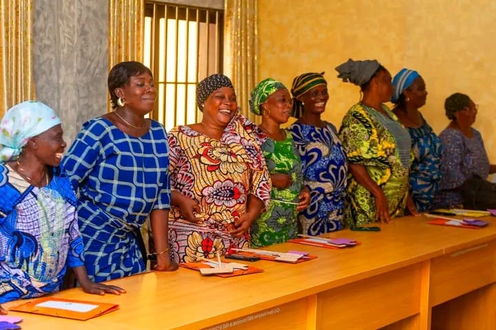 Close-up of lush, dark green leaves, some glossy and wet, against a muted background.