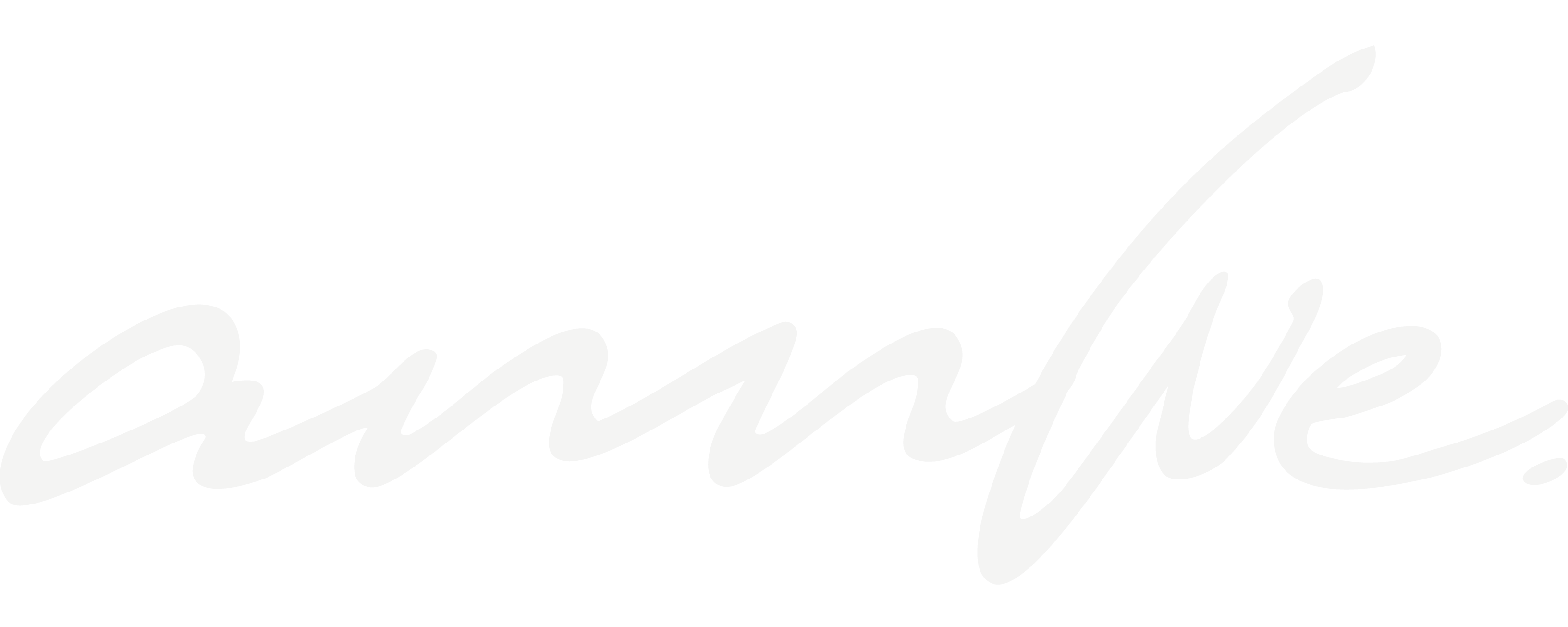 annwe logotype