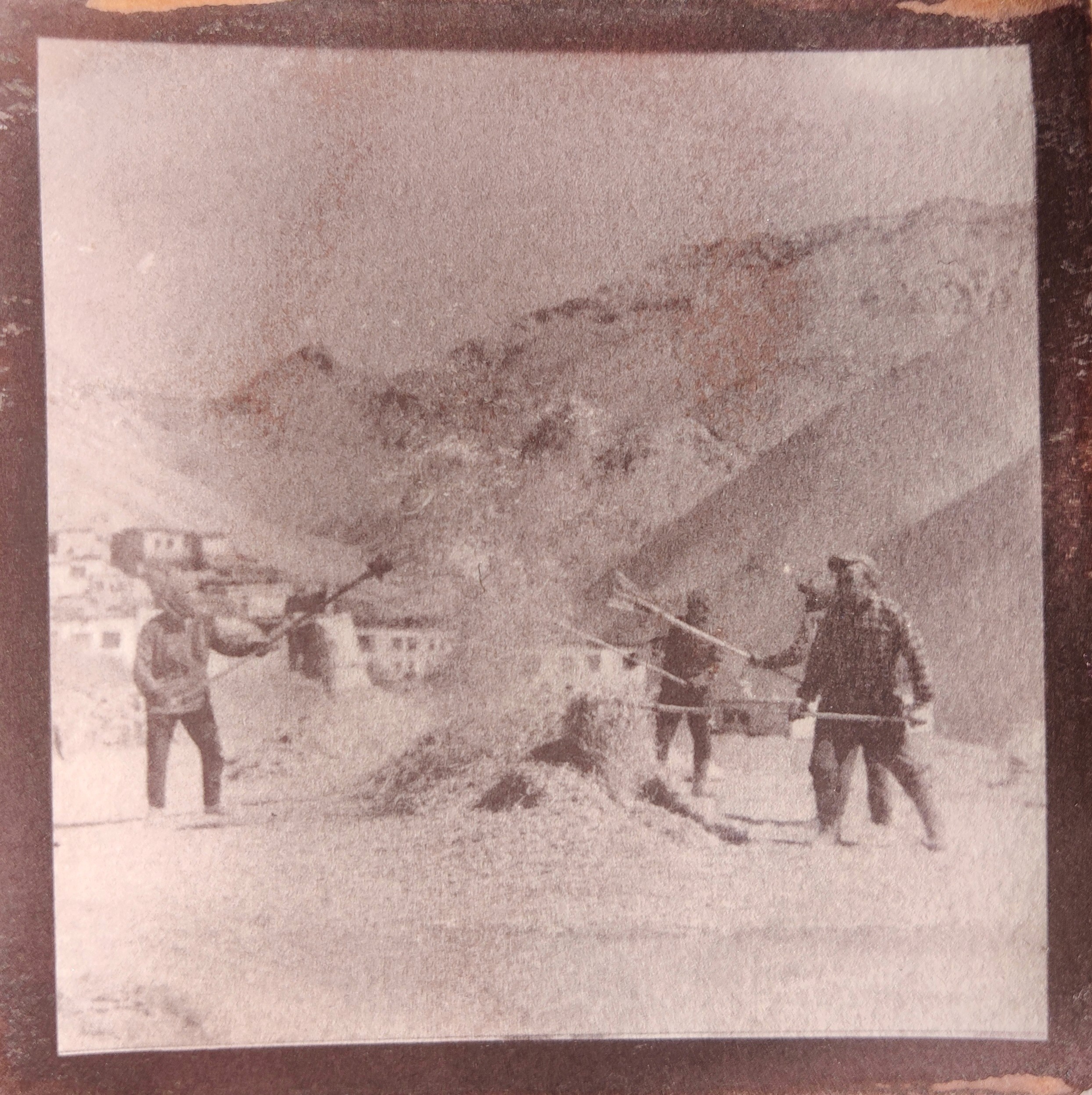 herd of sheep on road painting