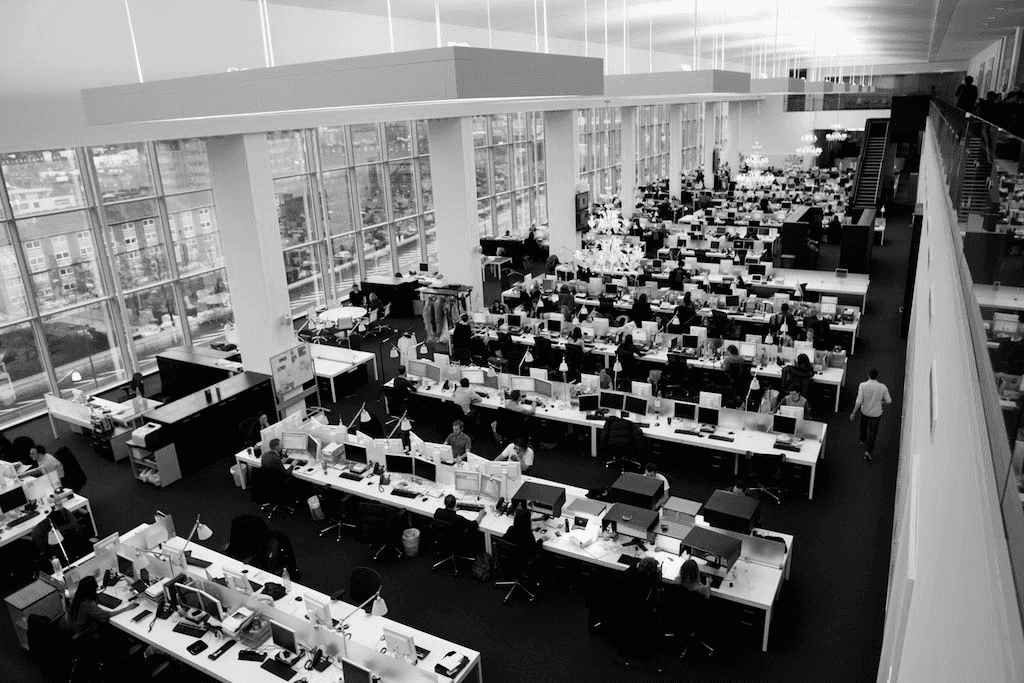 Spacious open-plan office with rows of desks.