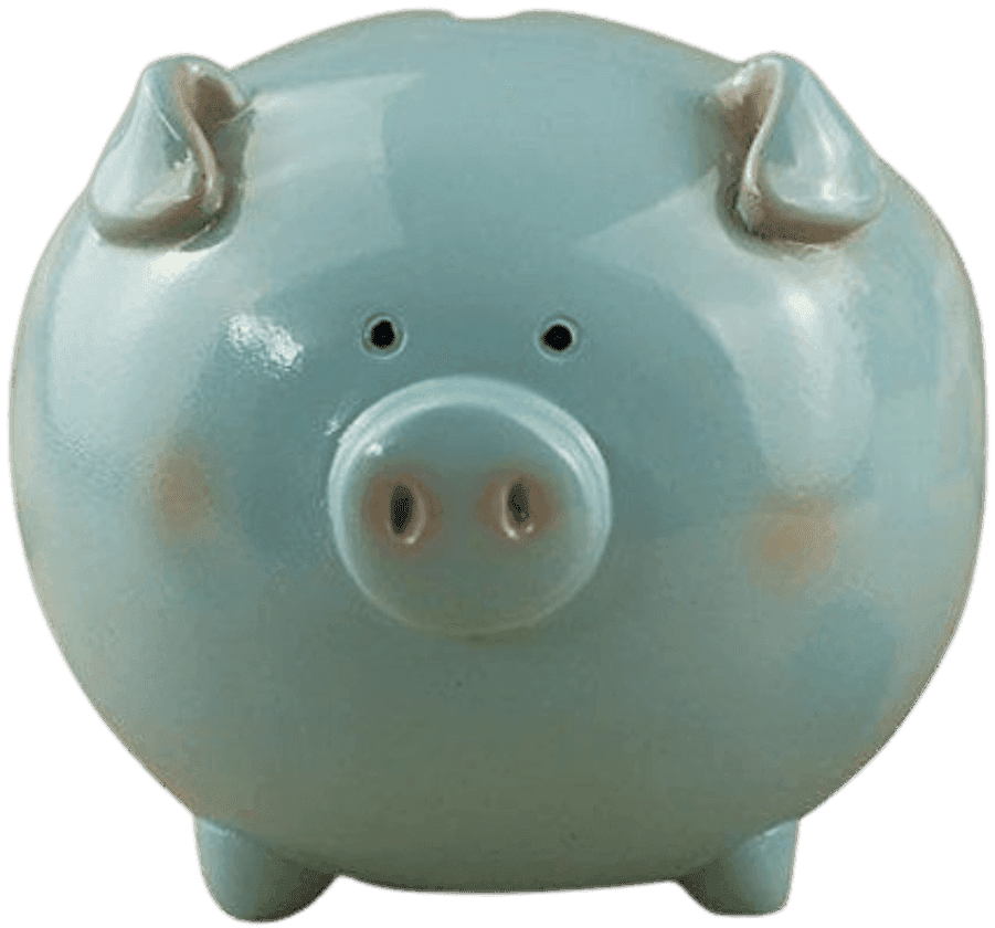 Blue piggy bank — symbolizing a business that brings income but lacks expected profitability.