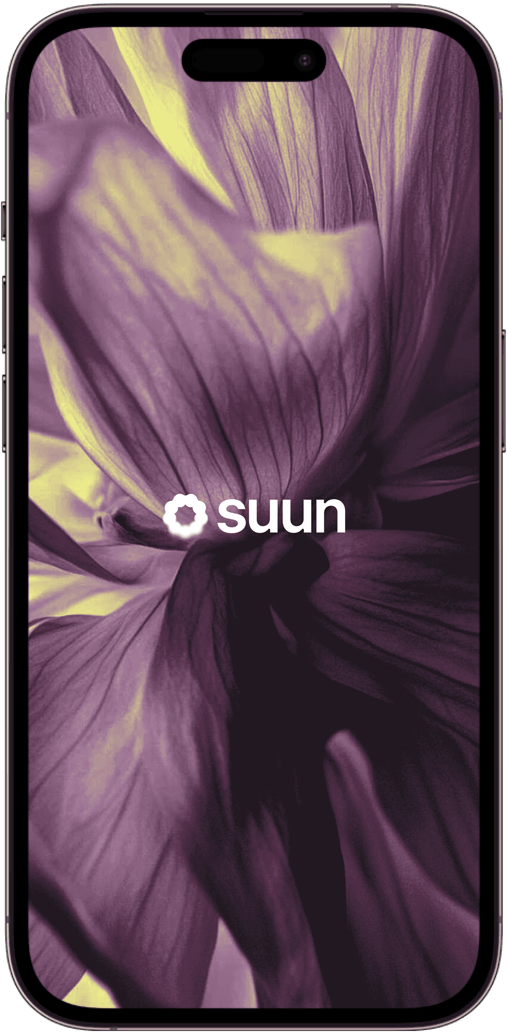 purple white and orange light