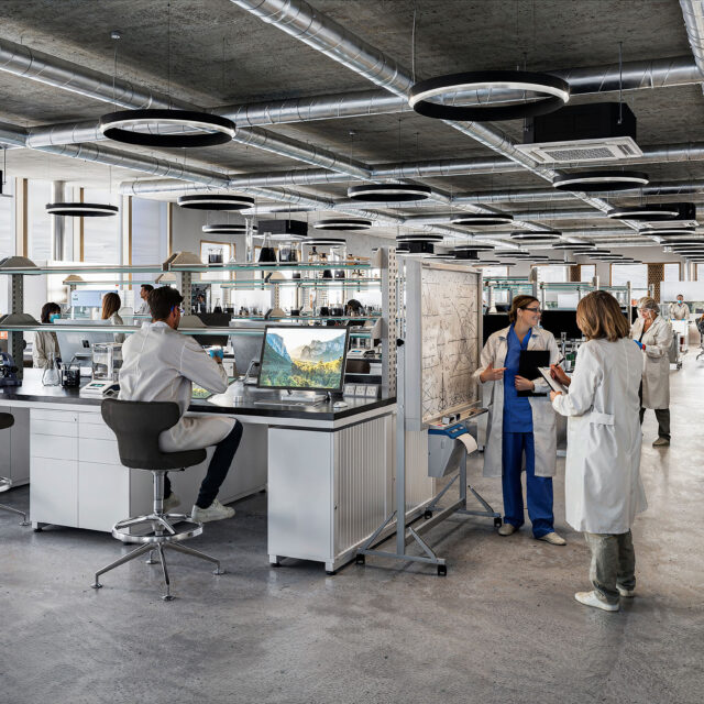 team member working image