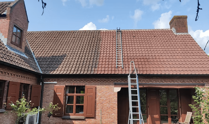 Dak na grondige reiniging en verwijdering van mos en algen