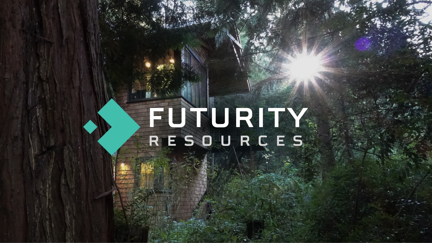 Rick's treehouse office