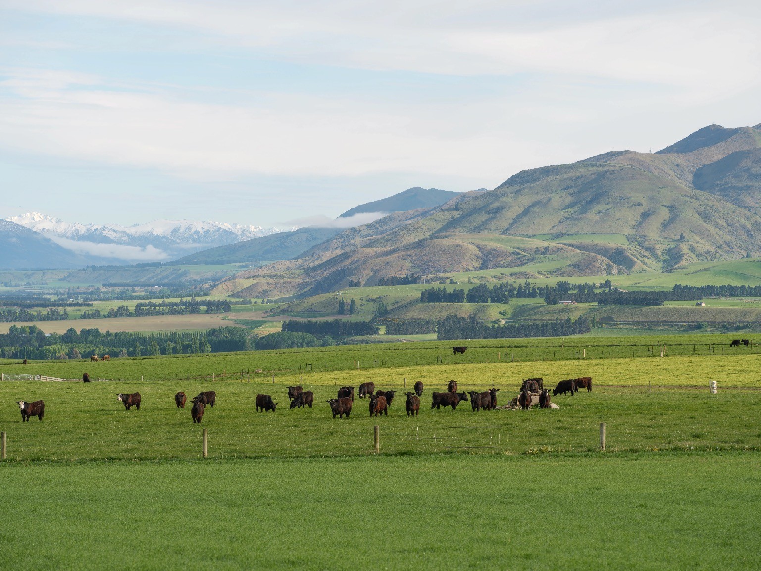 Alpine Pastures Group