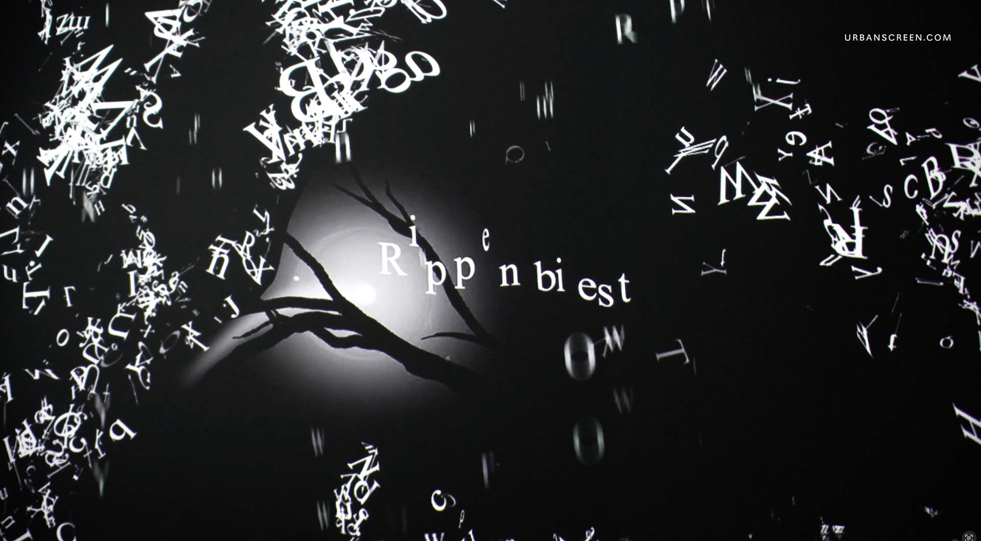 Finsterwald - interior projection mapping