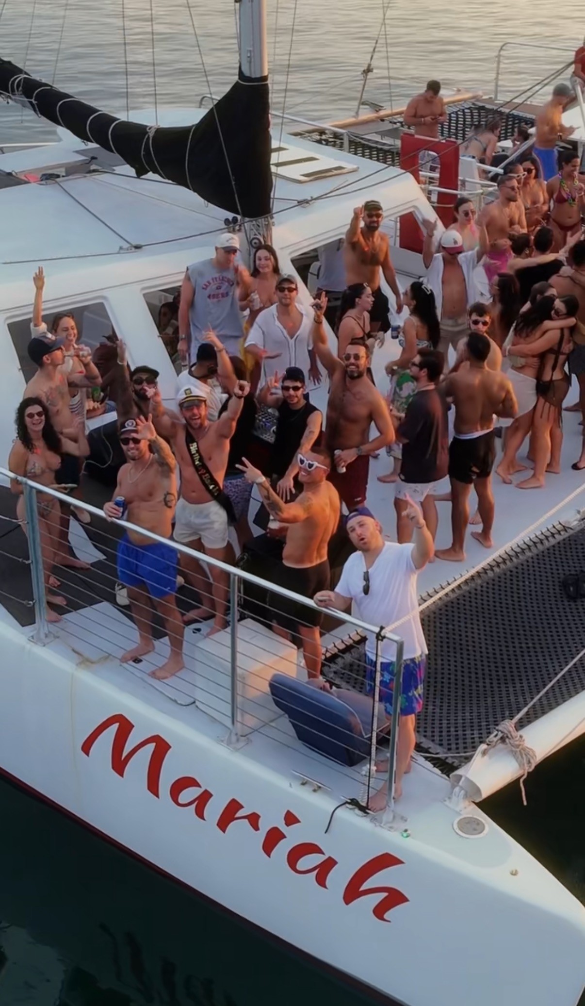 tree in a desert field