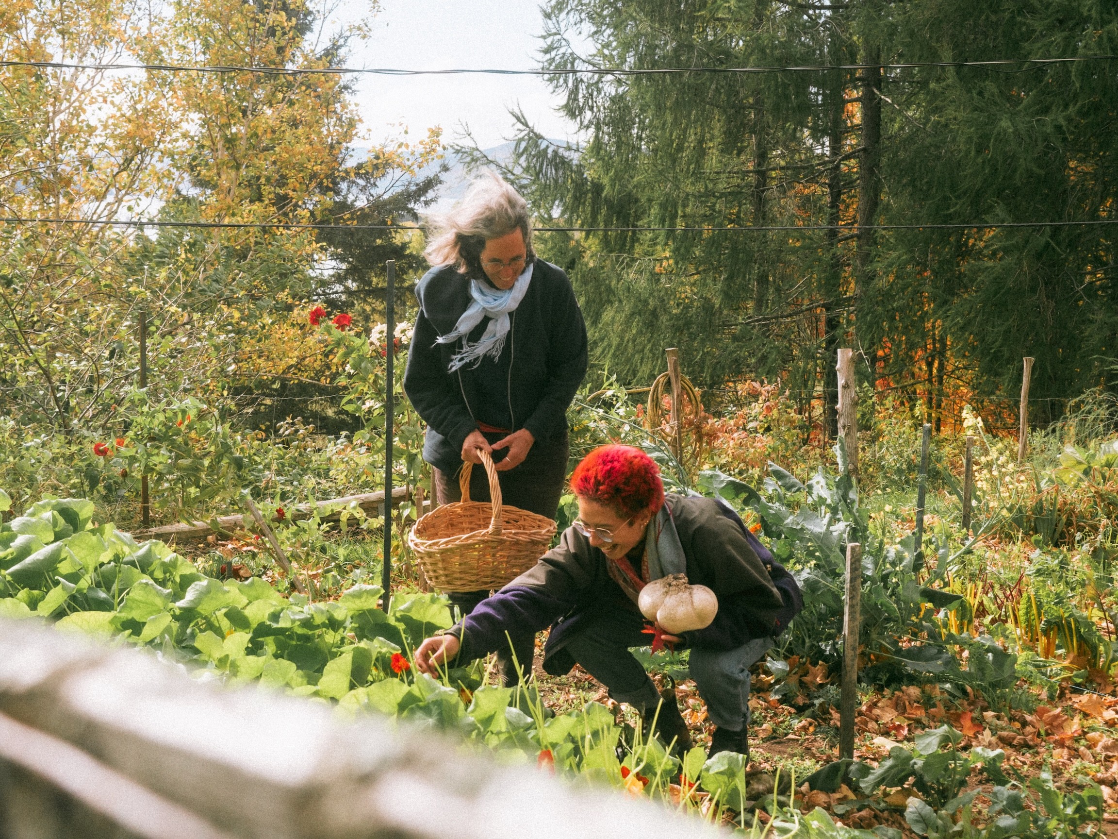 Lifestyle photography of two women taking care of a garden in Charlevoix, Quebec