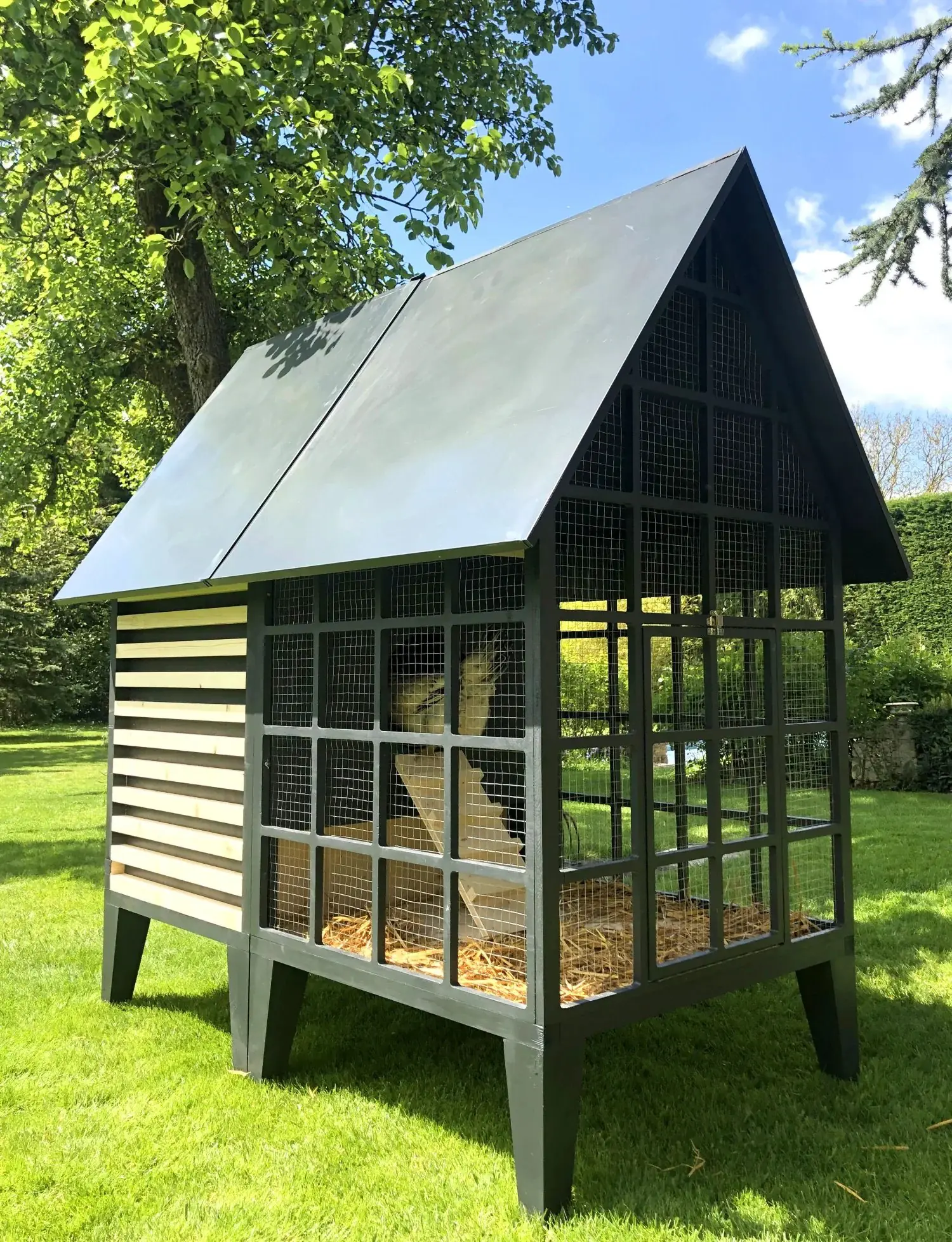 Poulailler Gallina vue latérale avec toit à double pans, grillage et litière de paille, poule visible