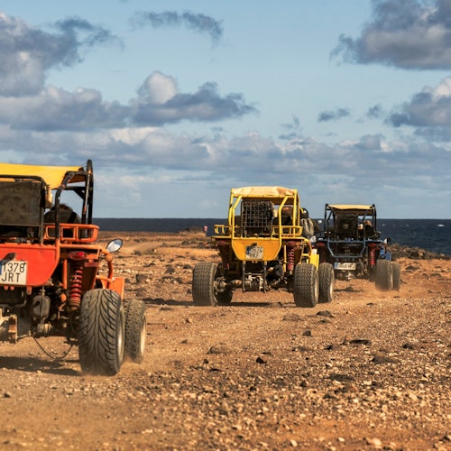 富埃特文图拉：导览全地形车之旅 + 科拉雷霍酒店接客门票