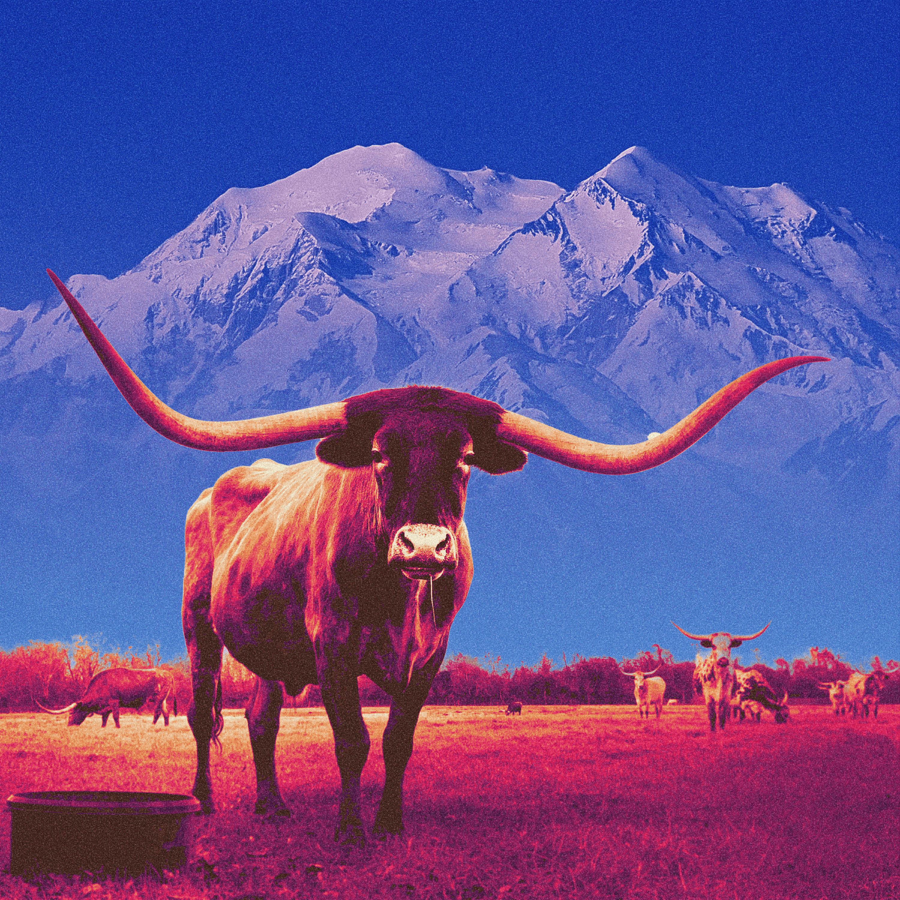 Portfolio project image