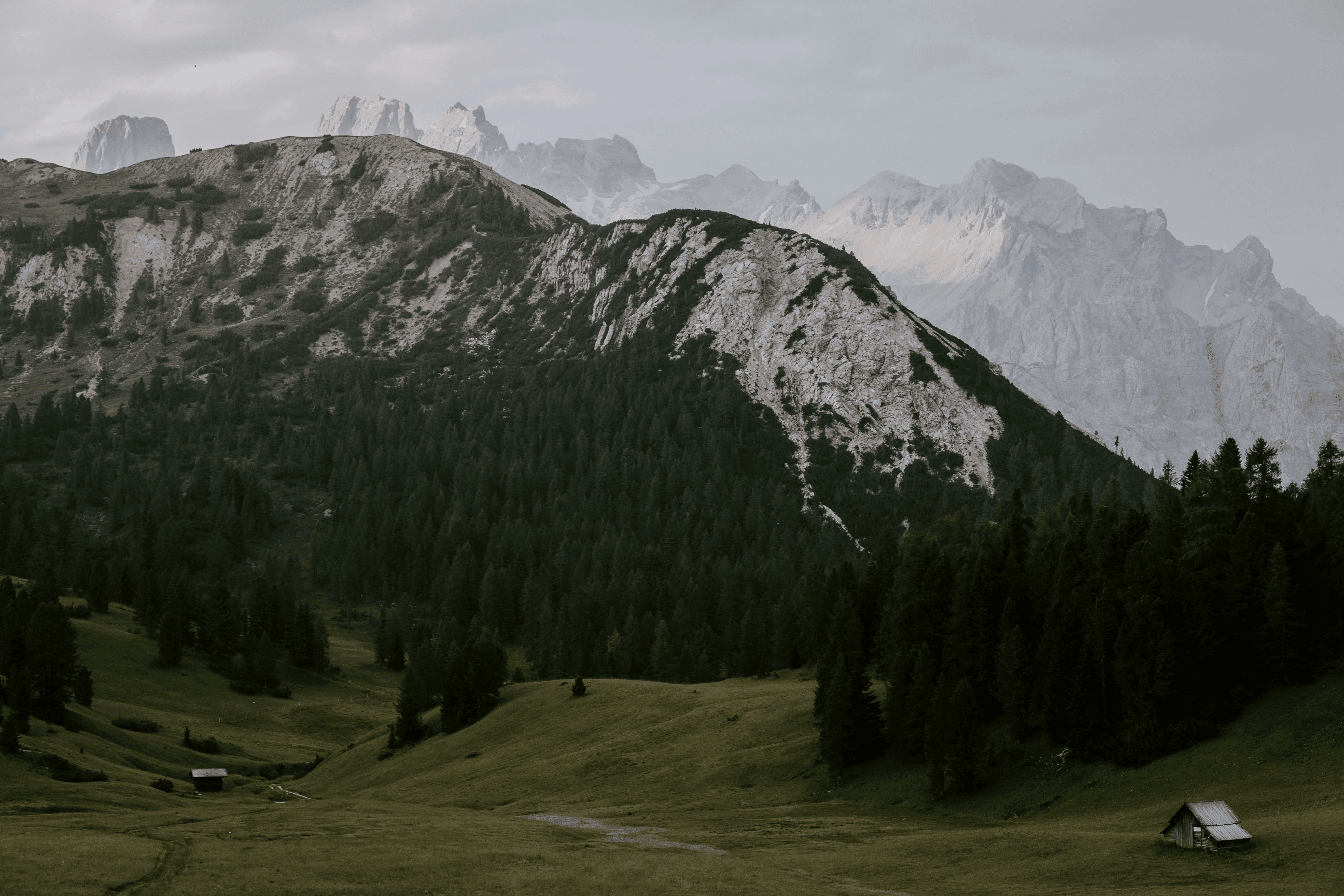 Mold inspector working