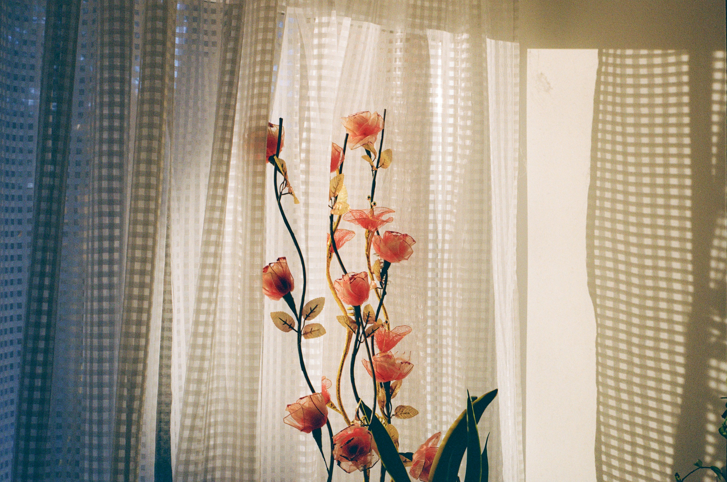 Artificial pink flowers in front of sheer curtains.