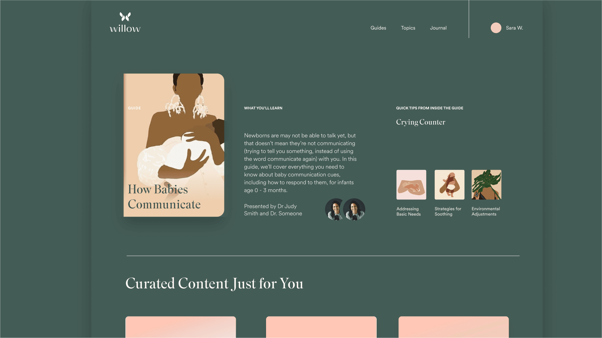 Willow project artifact 9