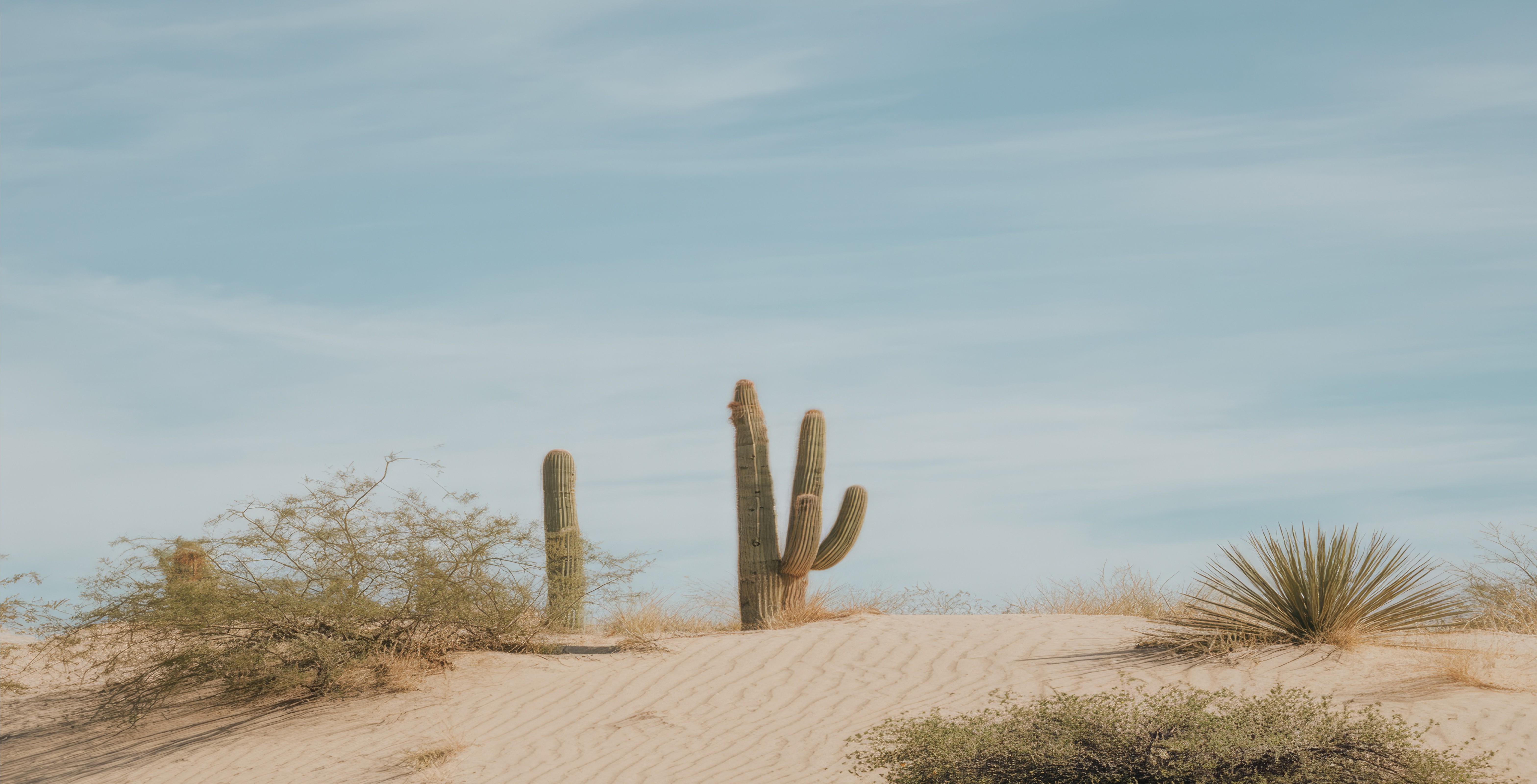 Expansive desert landscape with rolling sand dunes.