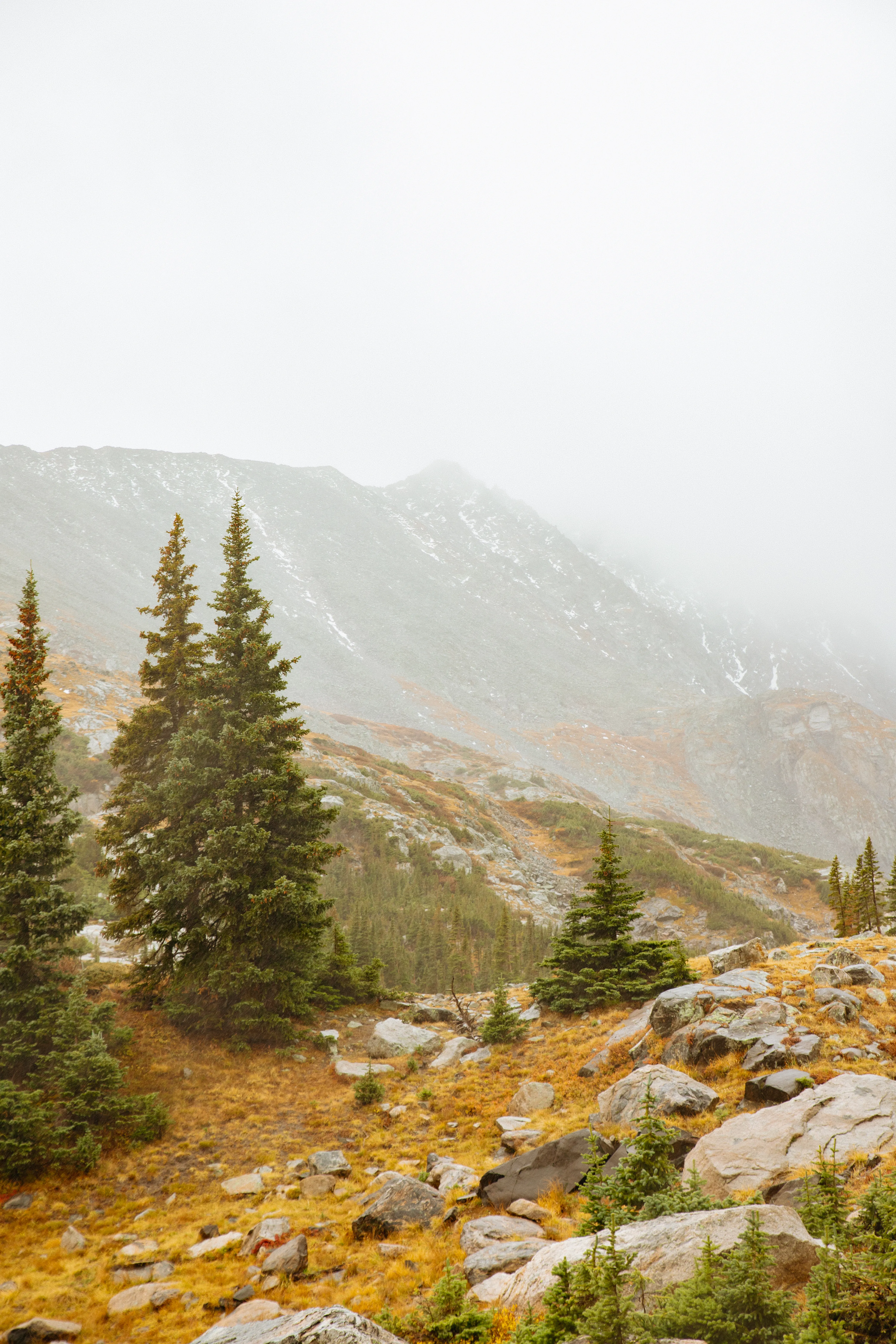 Batch.Works product catalogue book on a work top with a graphic printed image on the front