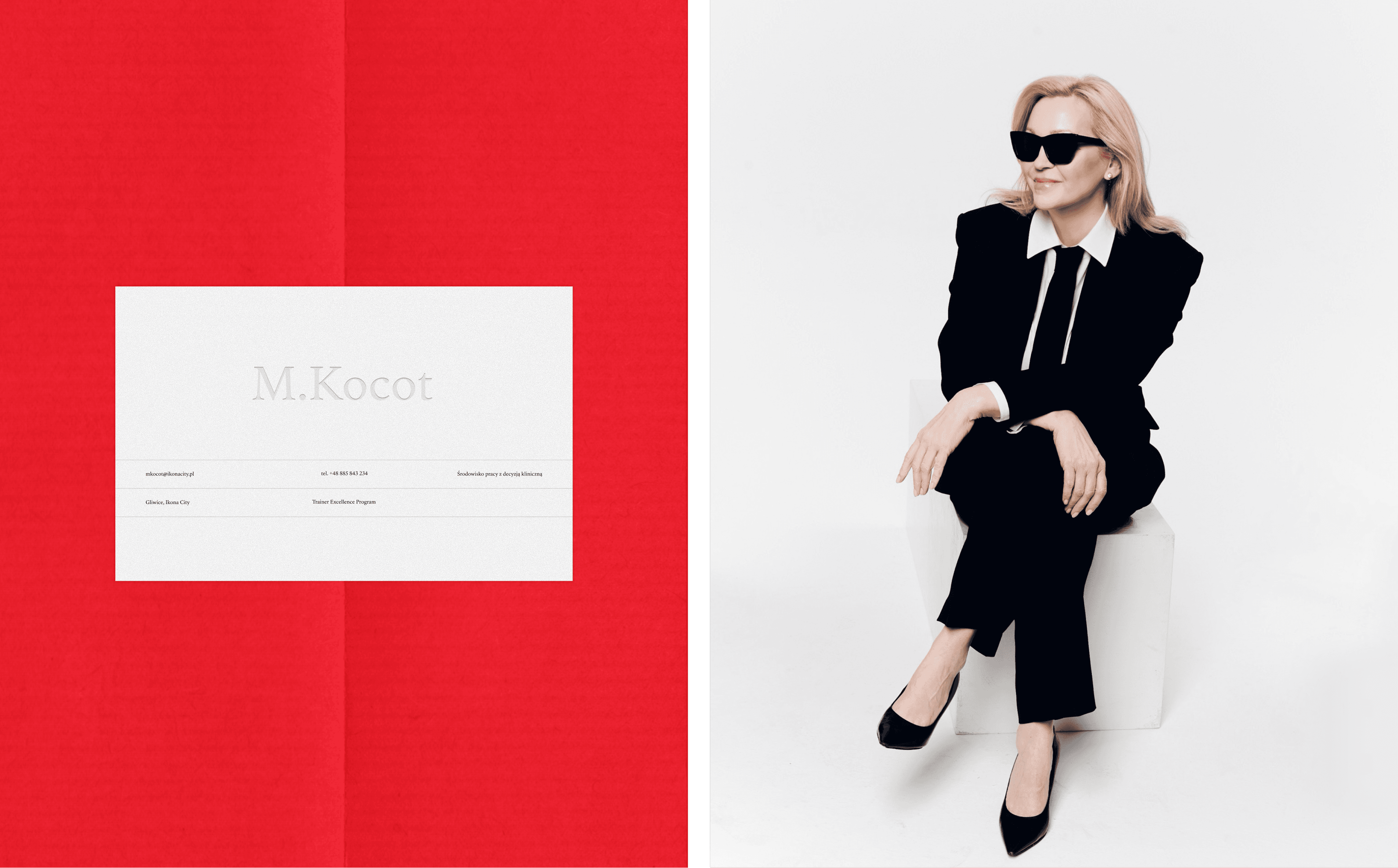 Premium Aesthetics Course: Web Design and Digital Design and Visual Assets