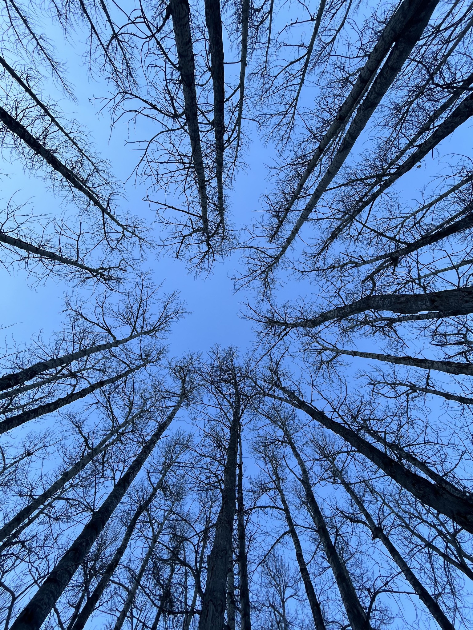 A young man riding a bicycle