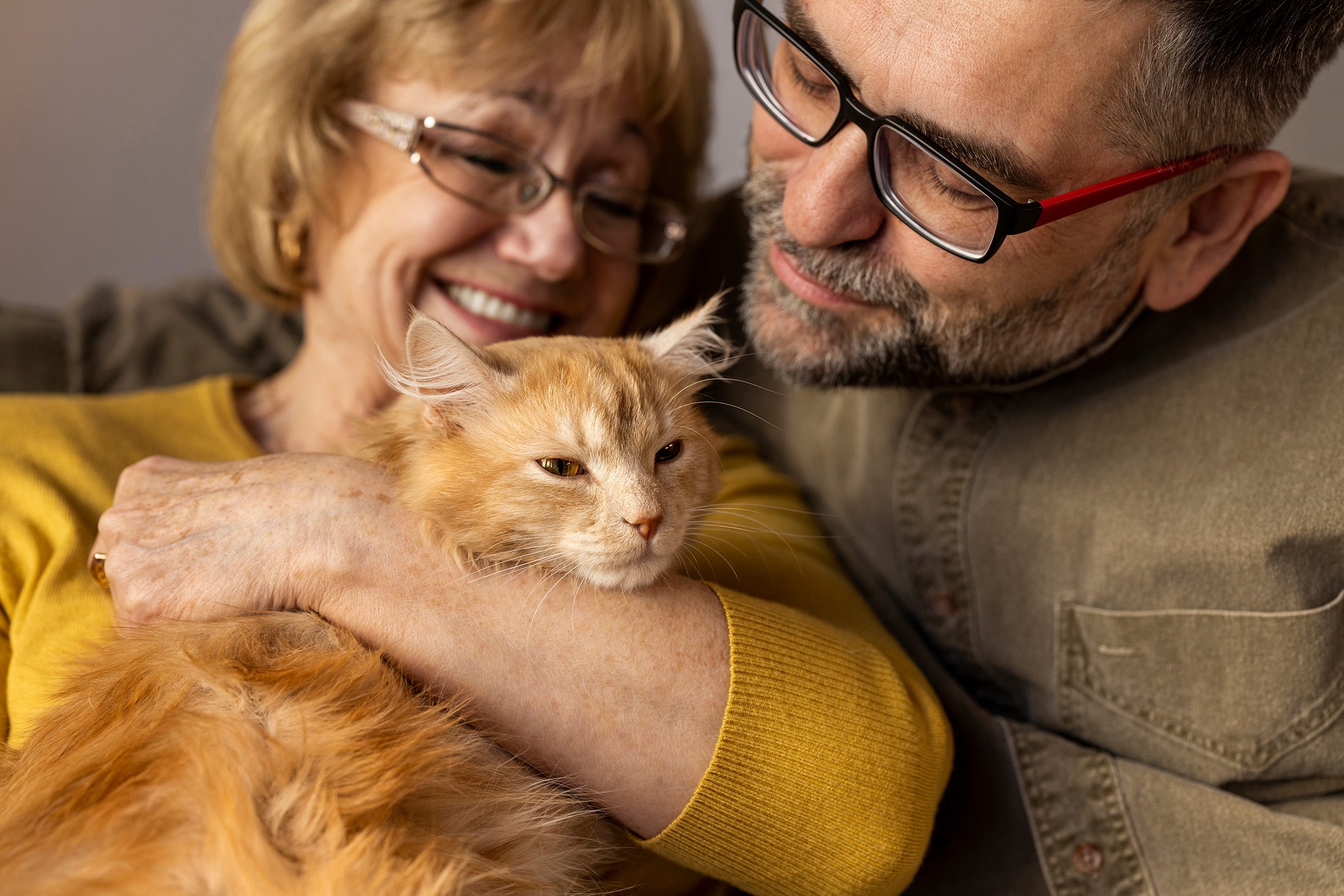 Elderly couple smiling and cuddling their fluffy orange cat