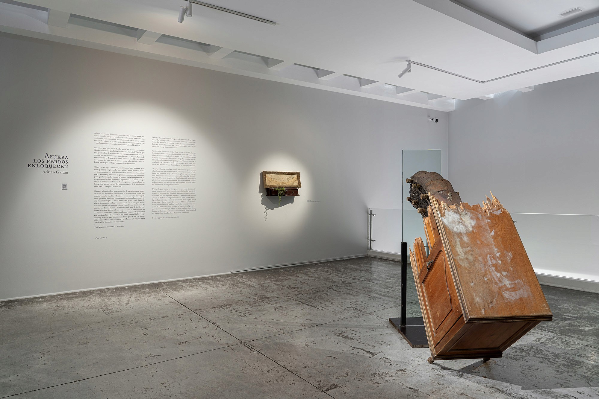 Hands pinning photographs on a white wall
