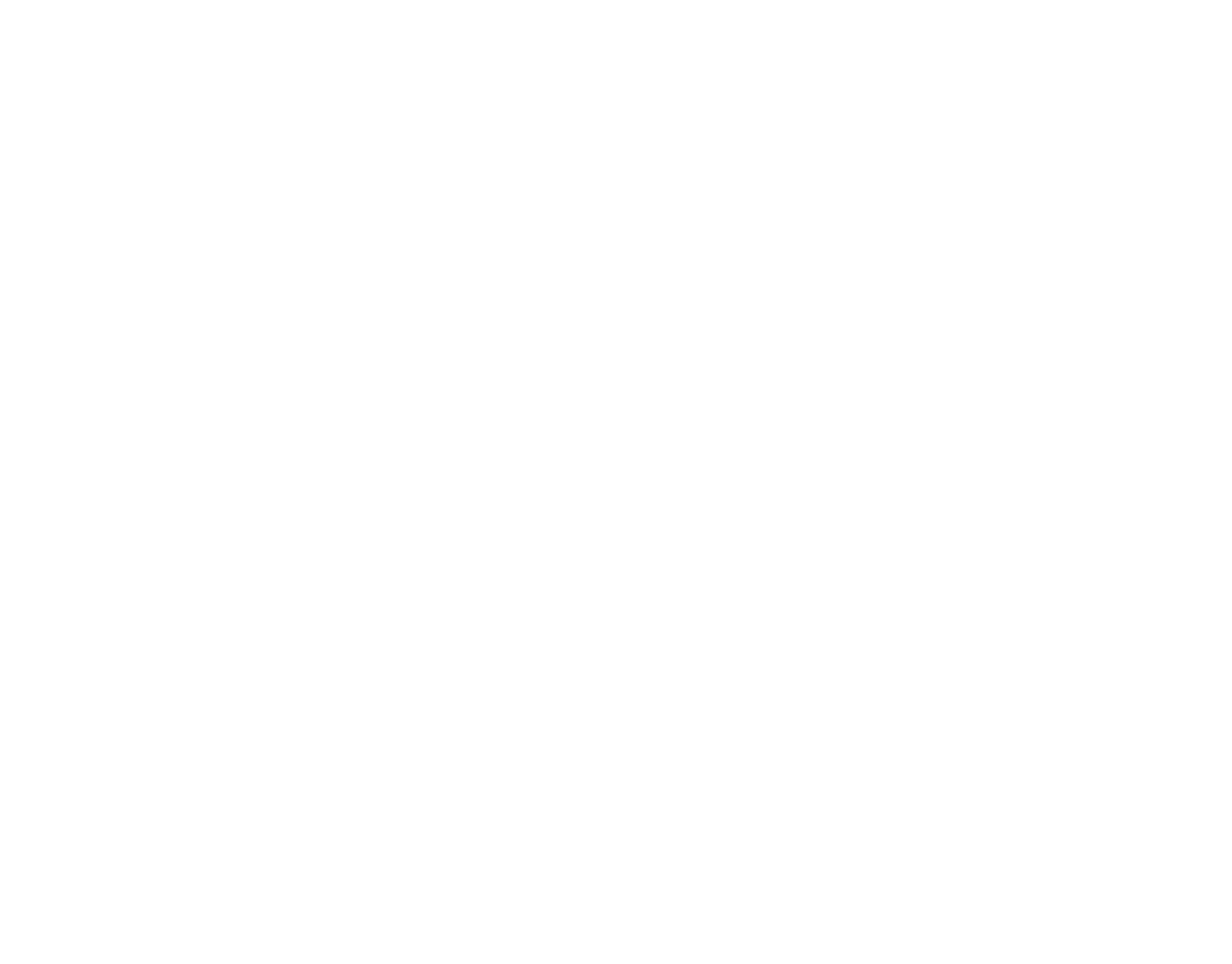 Image of a coach