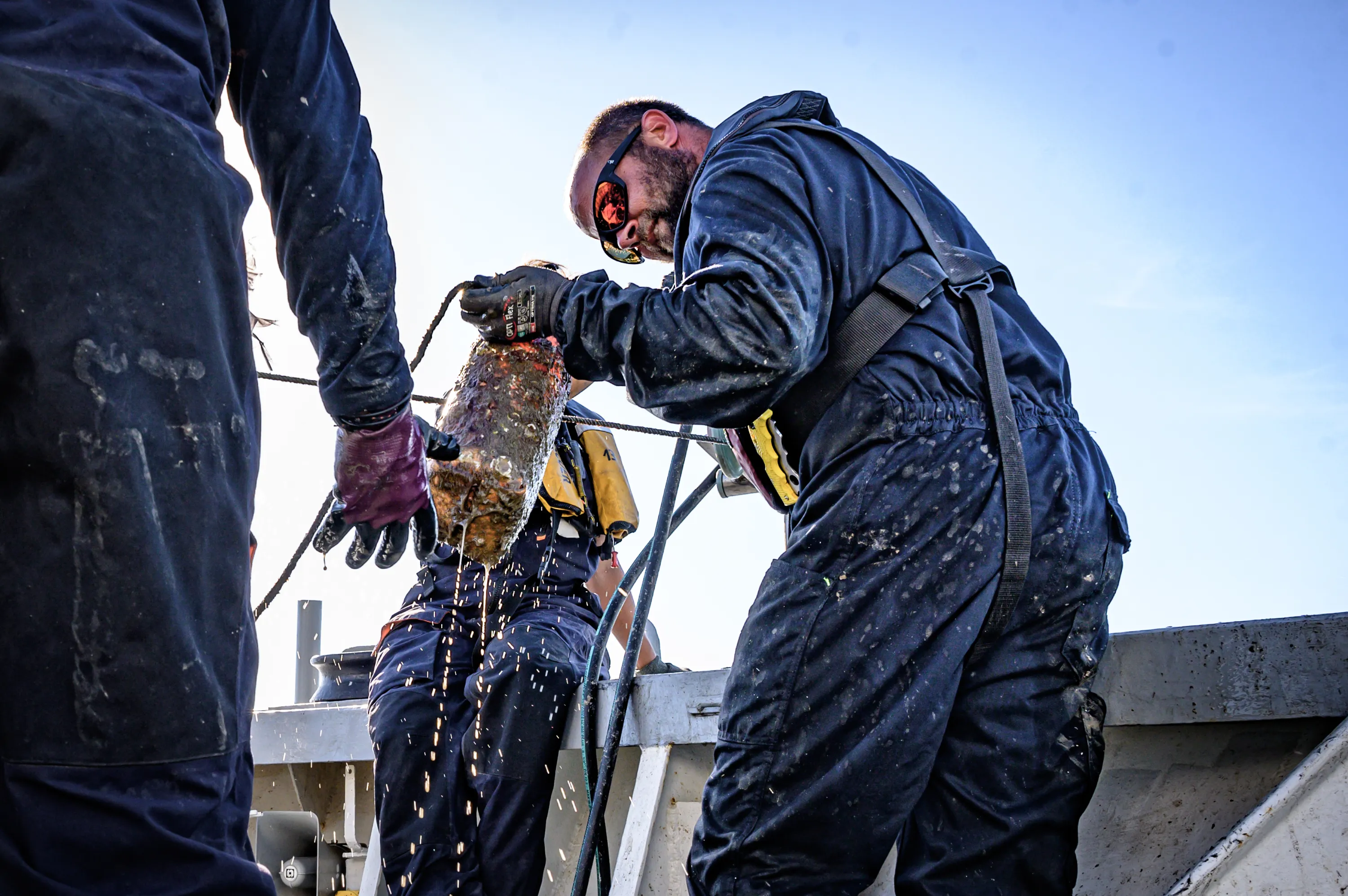 Sea Shepherd Campaigns 14