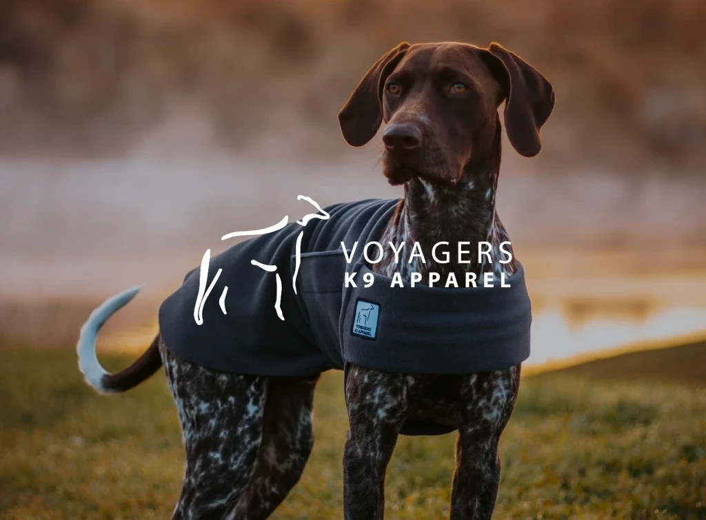 Voyager K9