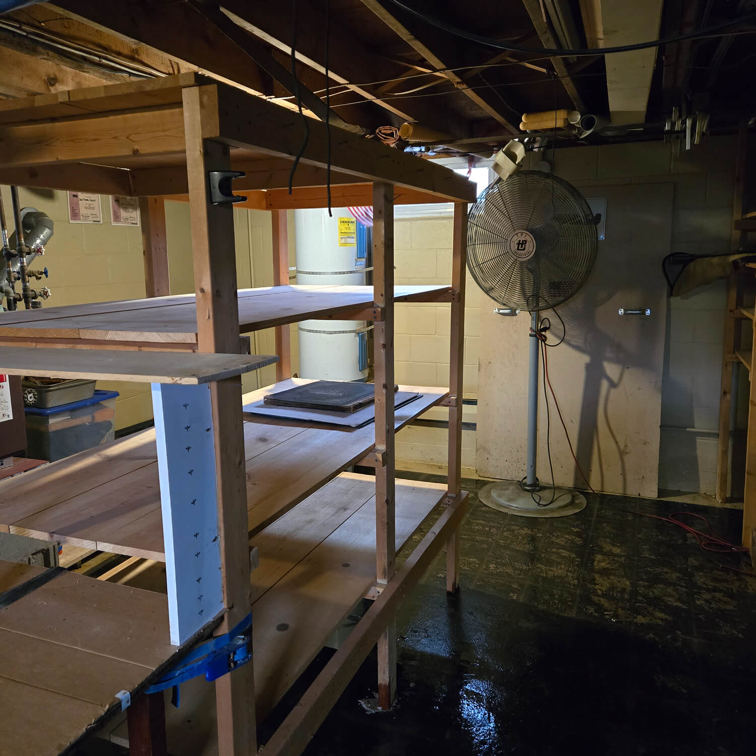 Basement cleaout after