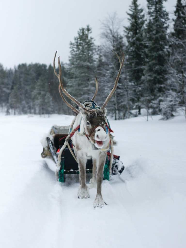 Lapland bucket list
