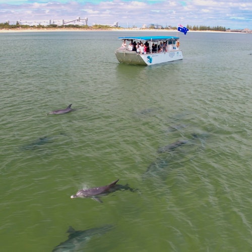 На нашем 90-минутном Эко-круизе гарантированы дельфины.