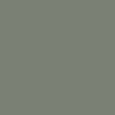 Verde Manzoni Laccato Opaco (864)