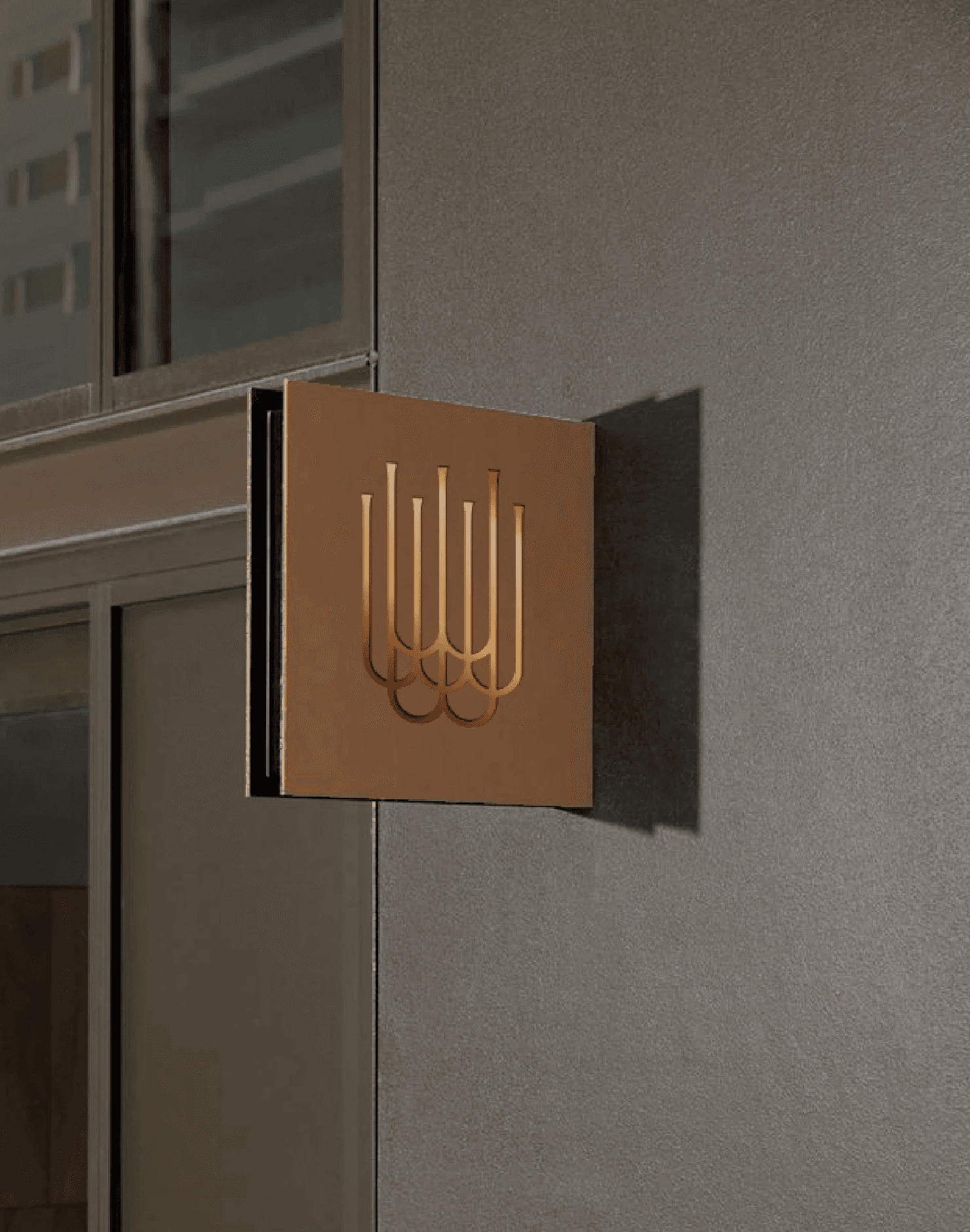 Dom Pérignon vineyards from the sky