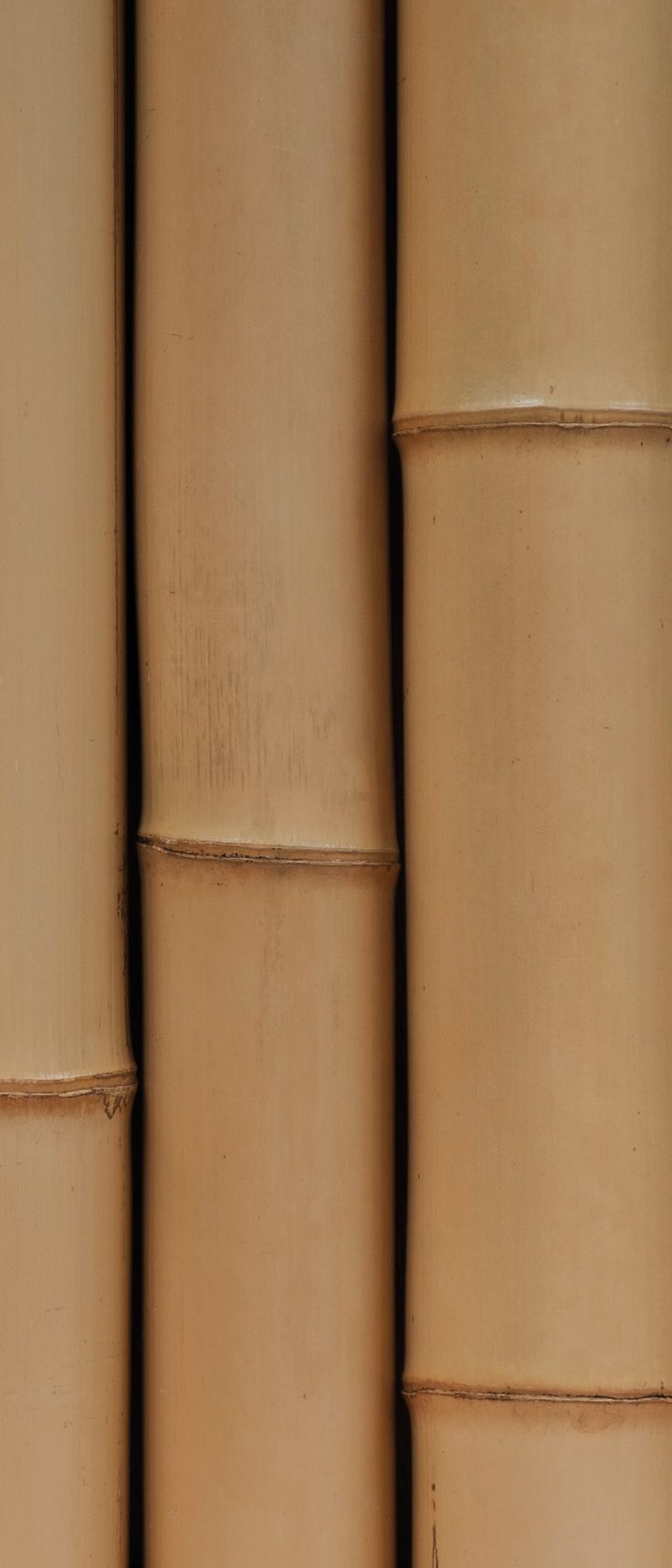 Roll of kraft wrapping paper with a white leaf print