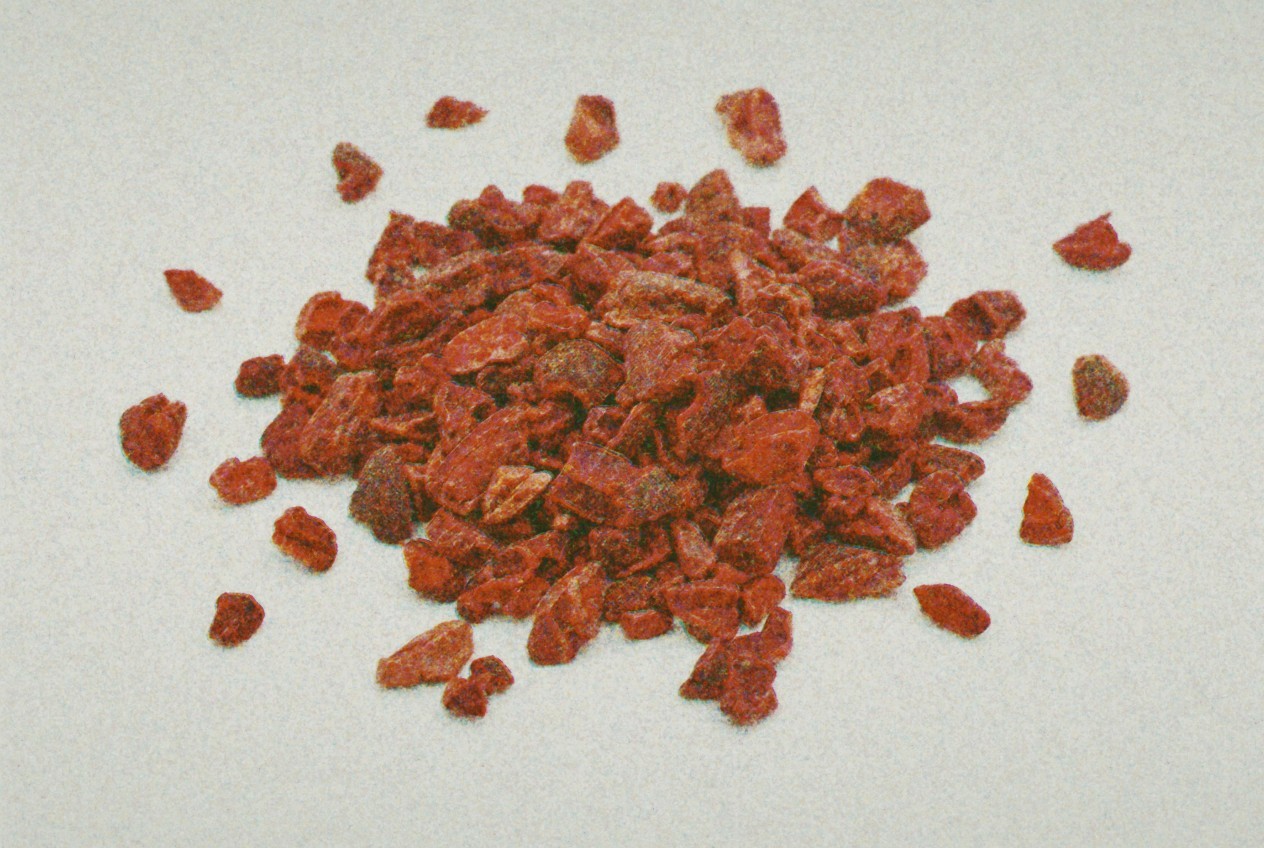 Cacao Nibs