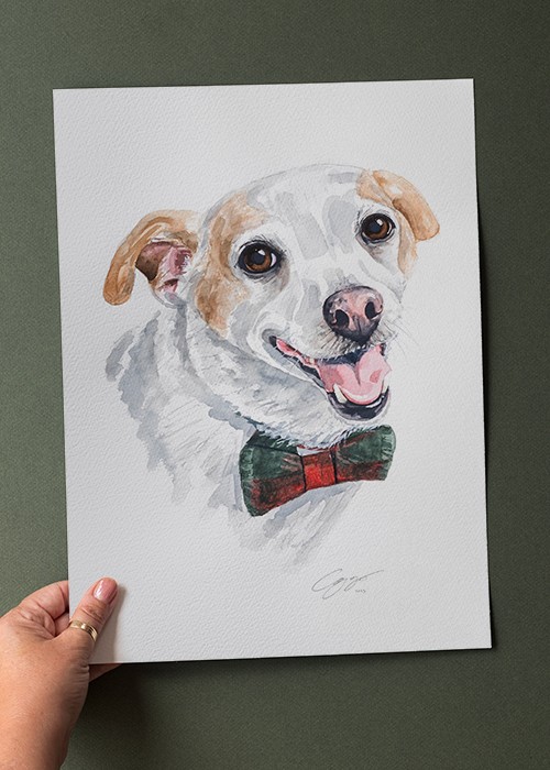 Watercolour painting of Jack Russell