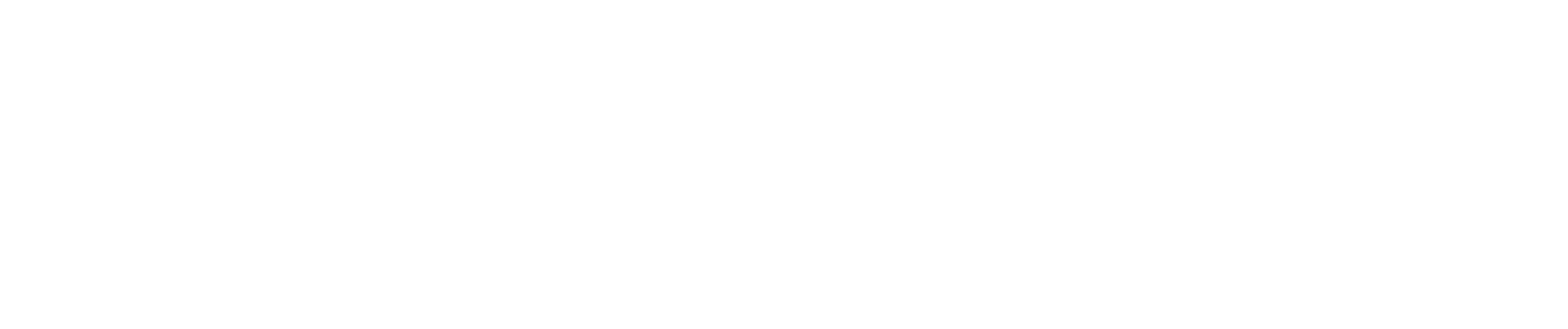 Livohaus Text logo for footer