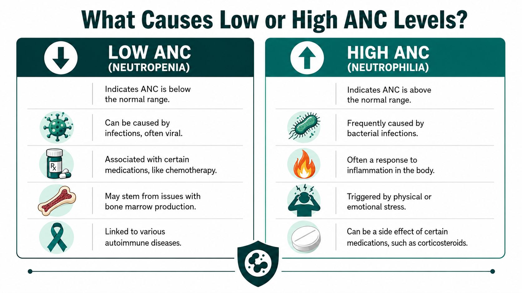 An infographic titled What Causes Low or High ANC Levels explaining the causes of neutropenia and neutrophilia.