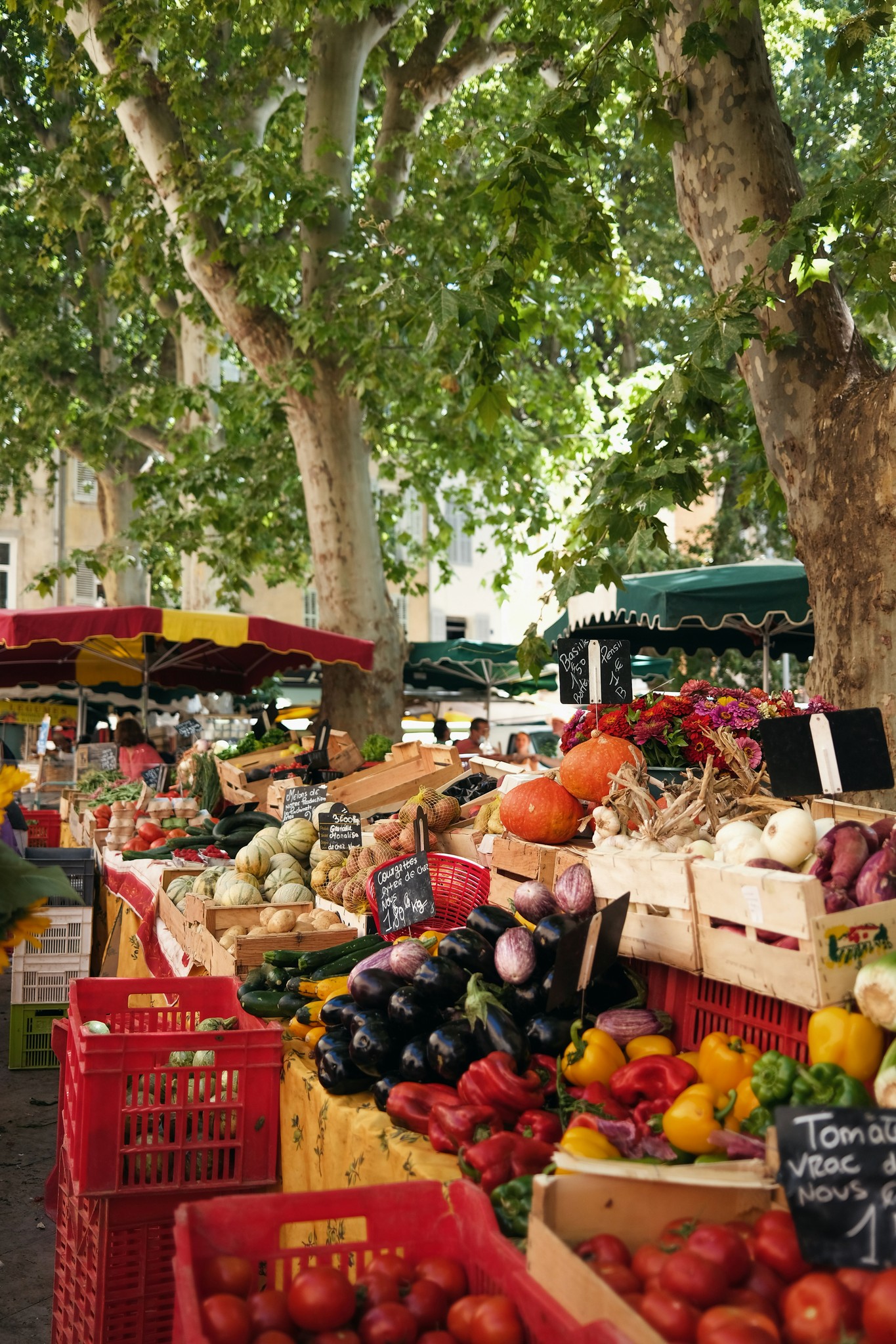 Scène de marché local français : valorisation du terroir et de la culture locale dans le webdesign du site Hexavis.