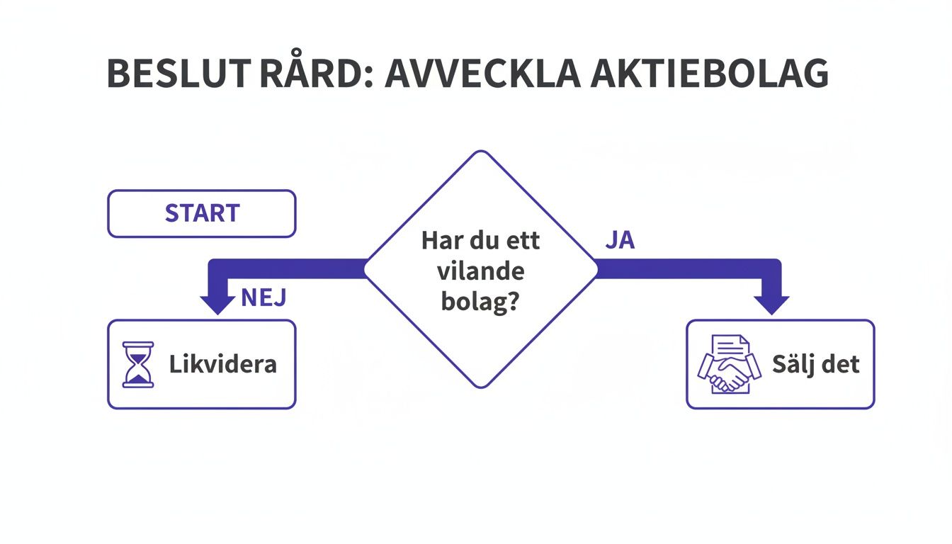 Flödesschema för avveckling av aktiebolag, som visar beslut om likvidation eller försäljning baserat på om bolaget är vilande.