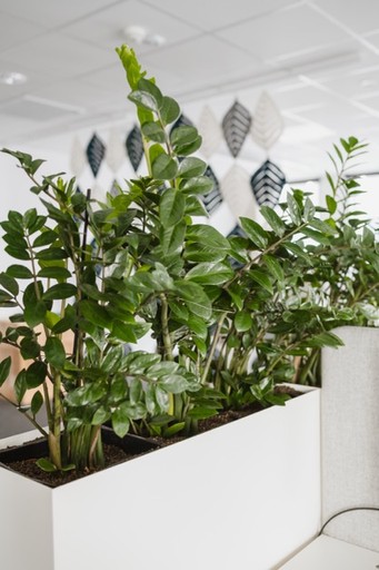 sprzęt potrzebny do dbanai o rośliny klentów