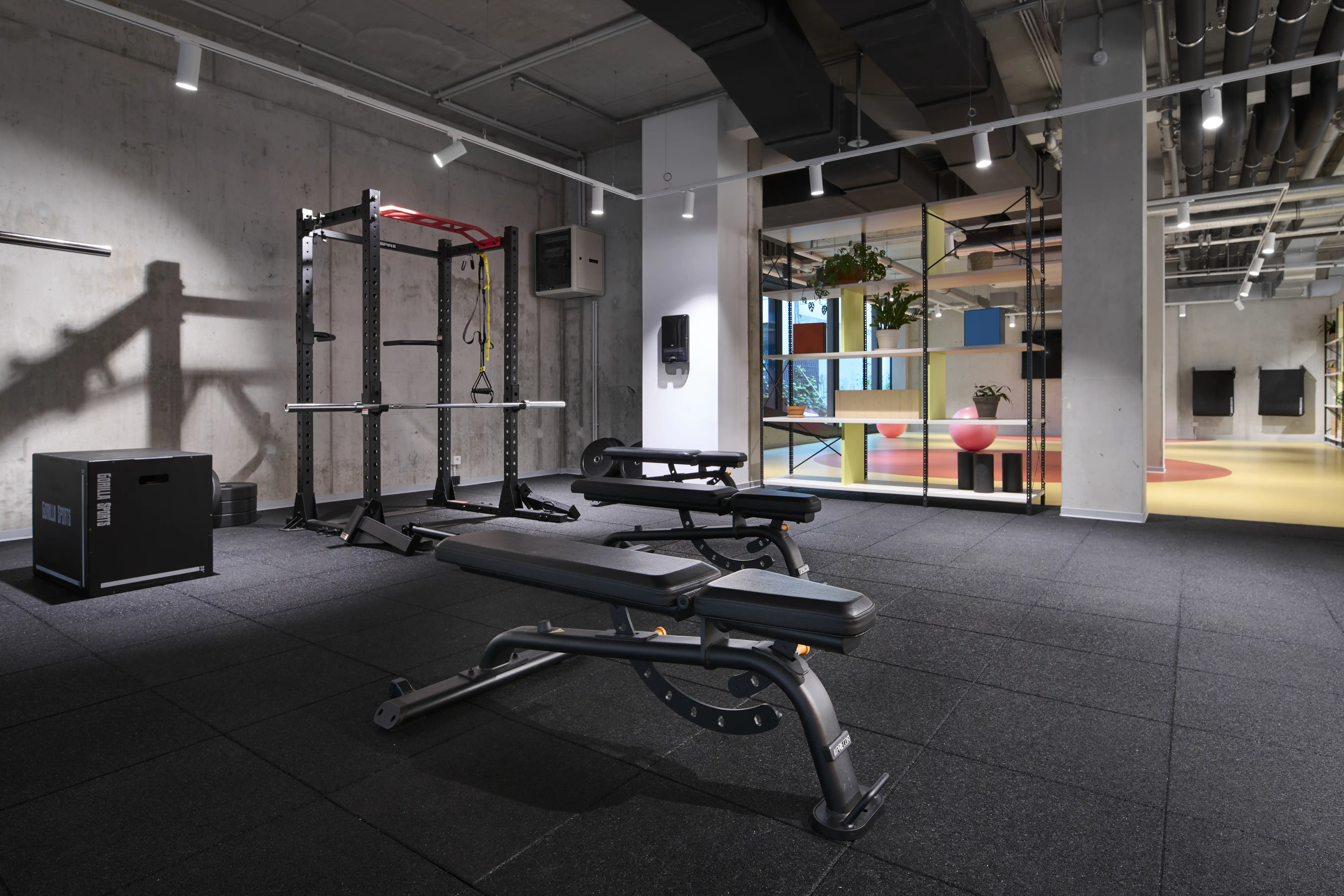 Strength area at HELLOFRESH GYM with a black power rack, adjustable benches and plyo box on dark rubber floor, with the colorful course room behind glass.