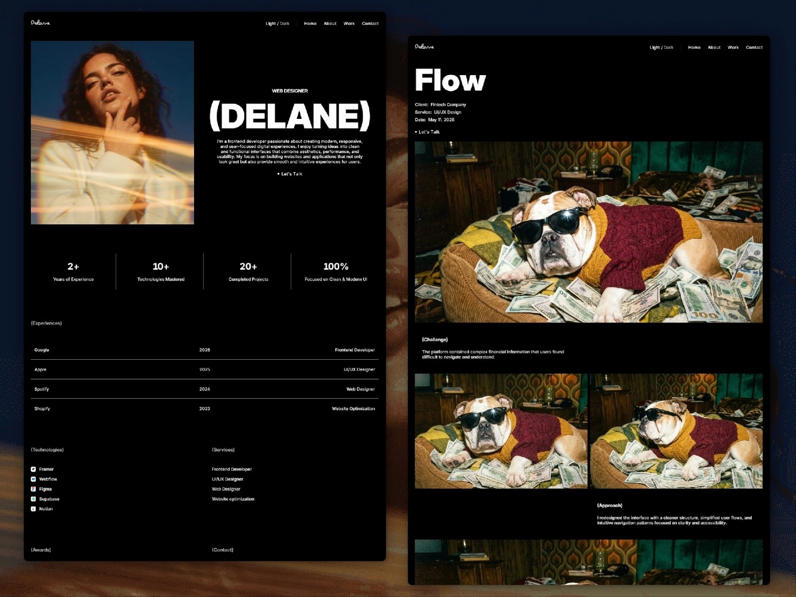 DELANE — 黑白极简现代作品集网站设计灵感