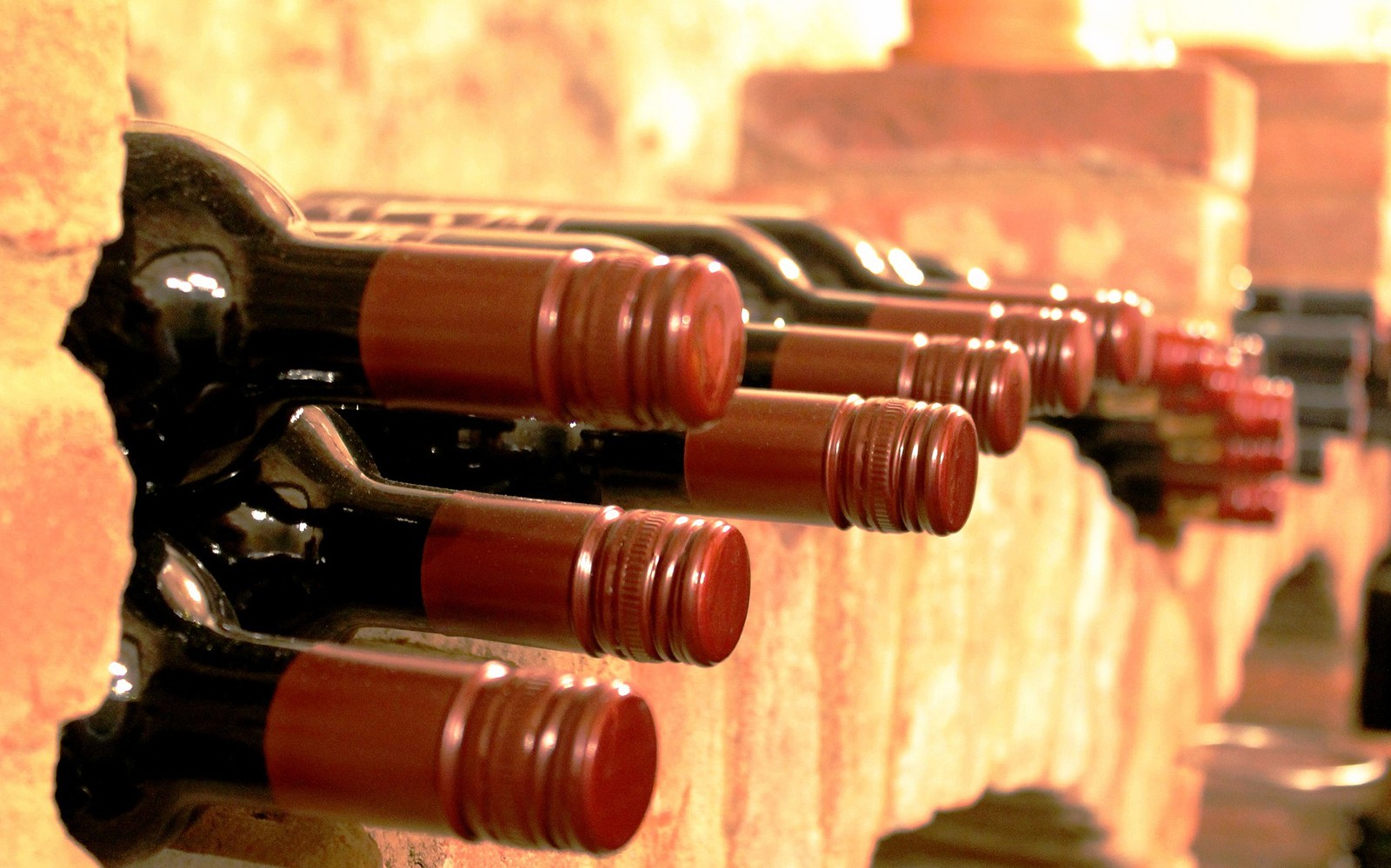 在馬德里出發的托萊多之旅中，酒瓶放在酒窖裡。