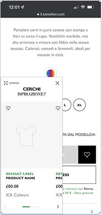 screenshot of homepage with carousel placement