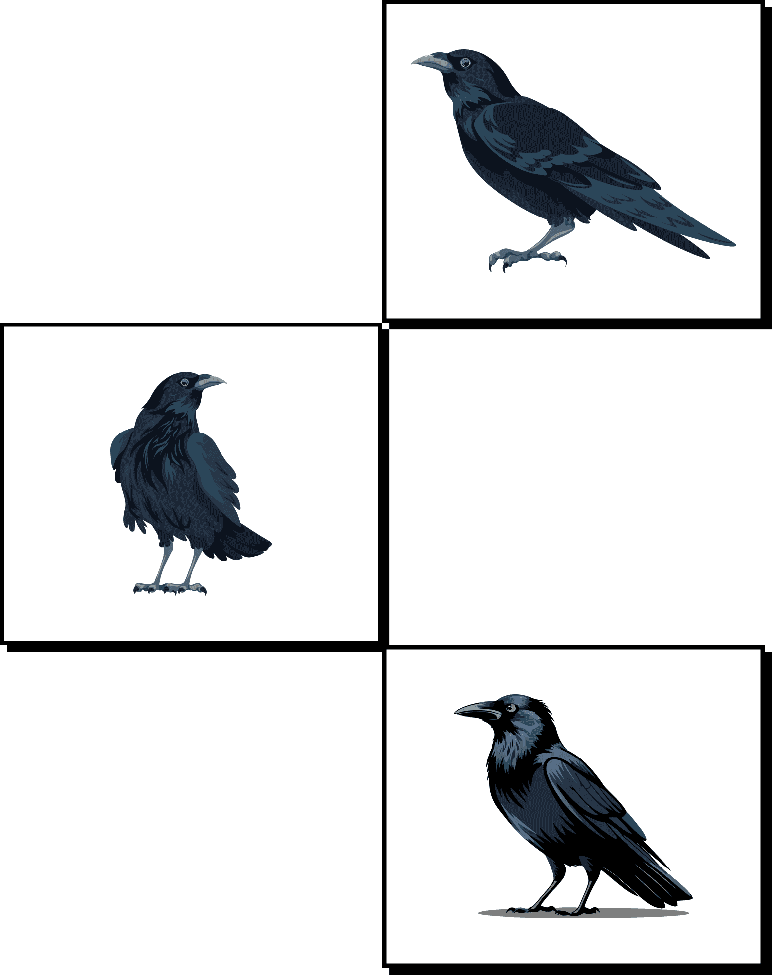 Crows