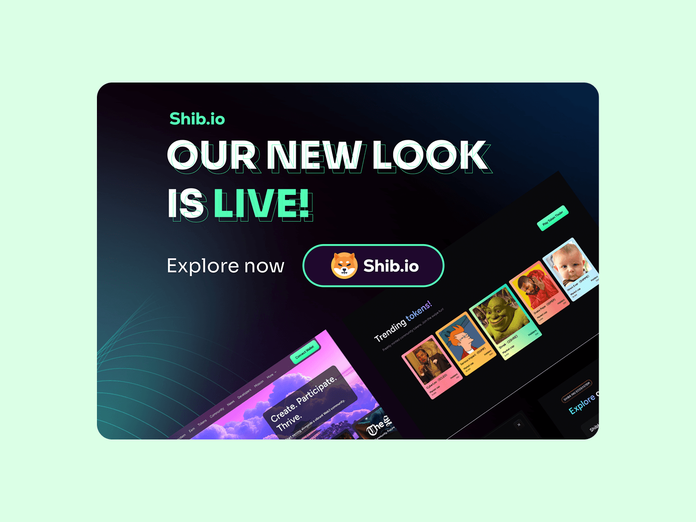 Project Gallery Image for 50% width of the screen #1