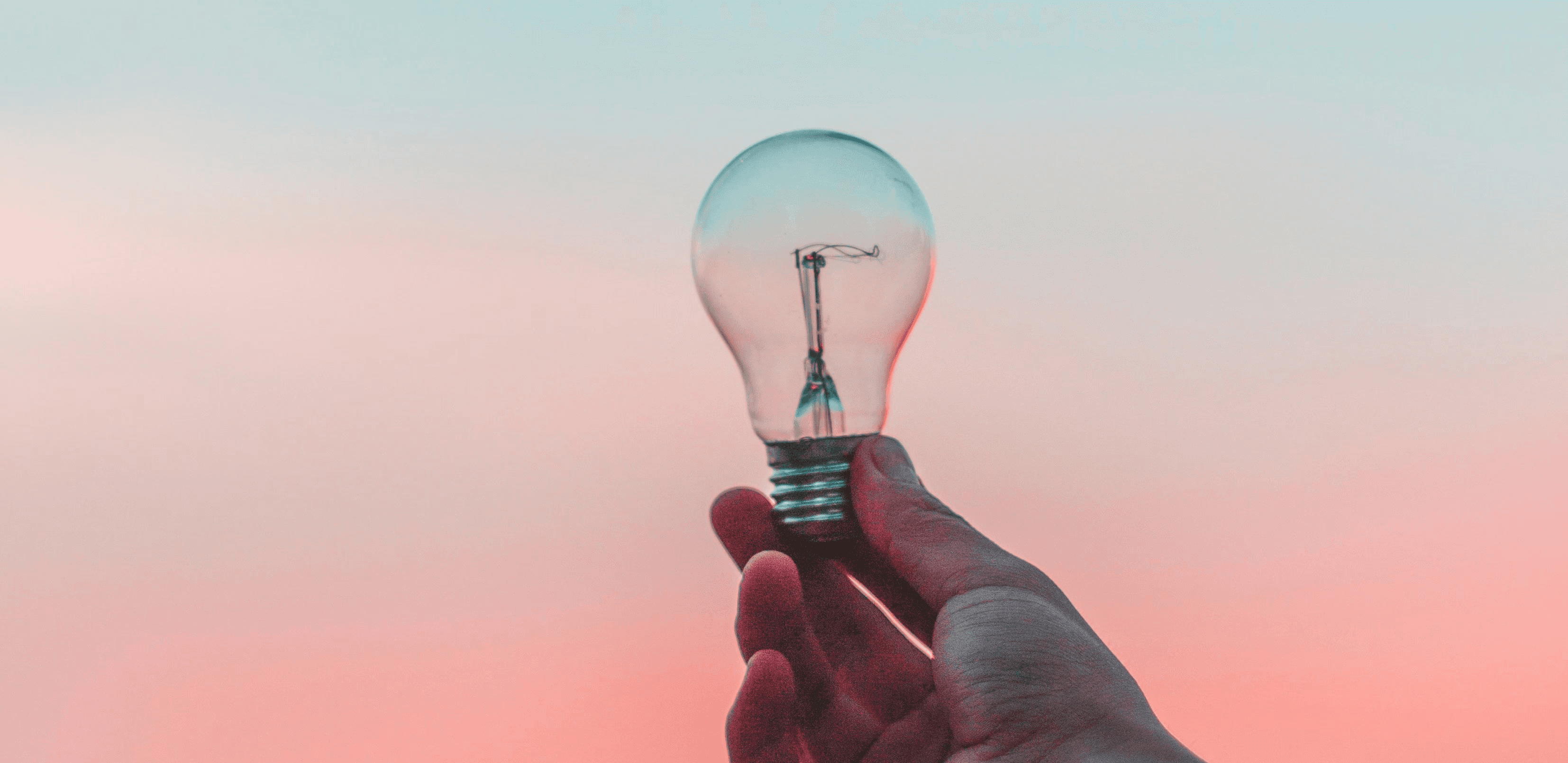 person holding a light bulb